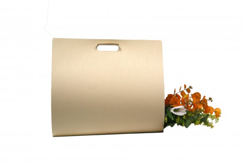 Cardboard bouquet bag