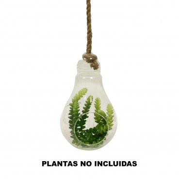 Hanging glass and rope hanging drop planter