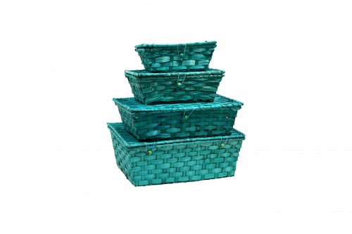 Grüne Plastikbambus-Aktentaschen im 4er-Set