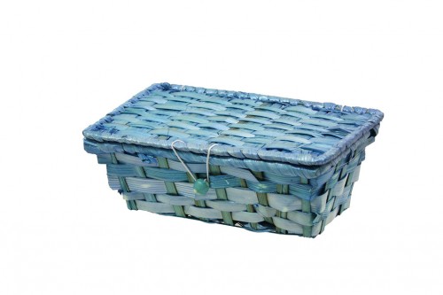 Blue bamboo plast suitcases