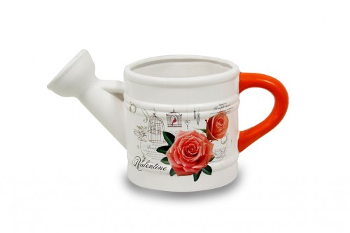 flower watering can