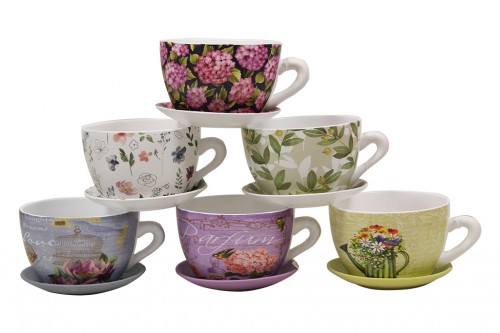 Kit ceramic cups planter s / 6
