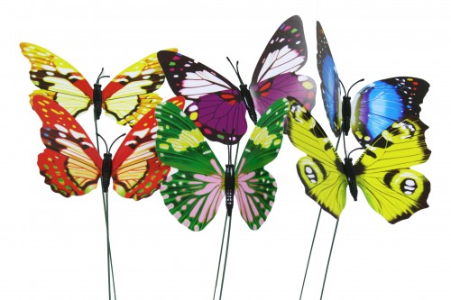Pin butterflies varied flowers s/50