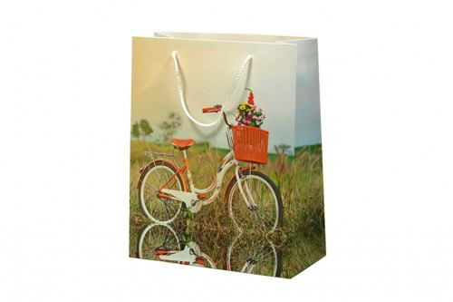 Bicycle bag