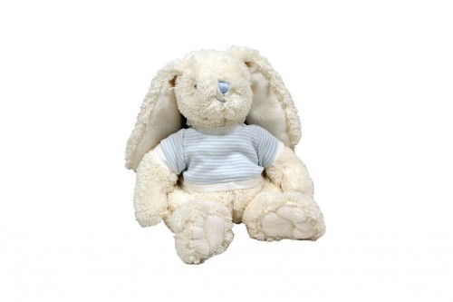 Stuffed bunny boy