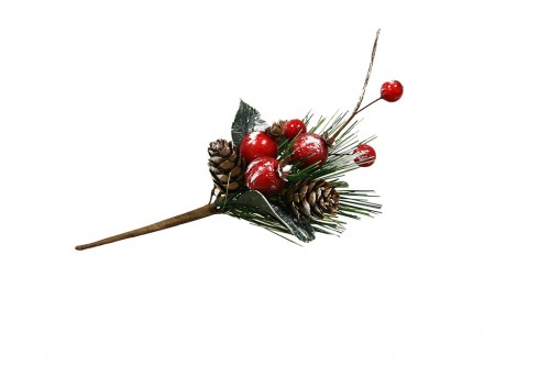 Branche décorative de houx et de pin