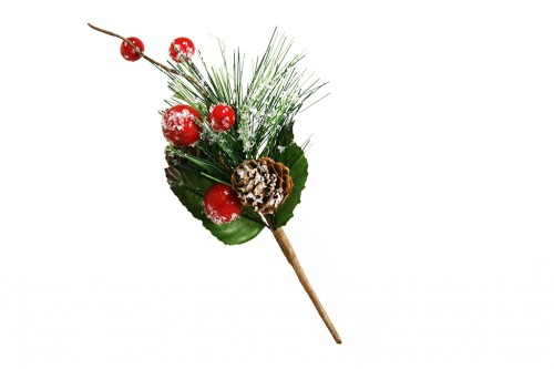 Decorative holly and pine branch