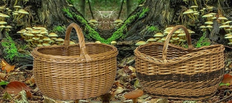 Cestas de mimbre para setas