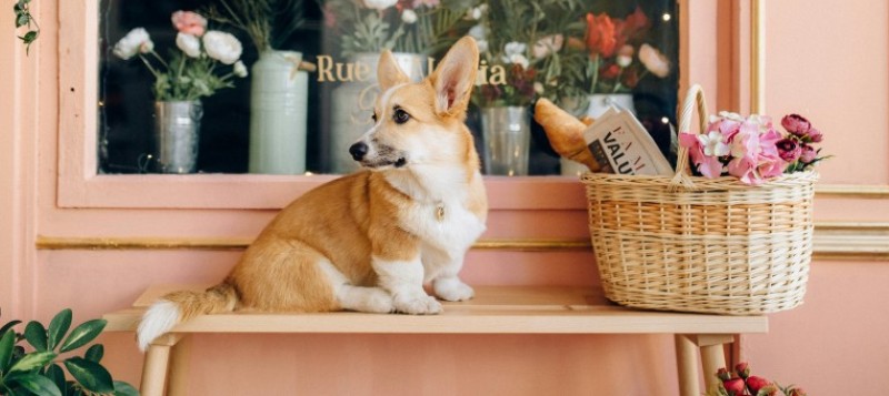 Cómo decorar tu tienda con cestas según la estación