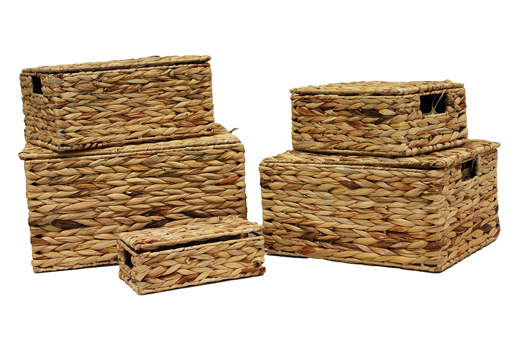 Sequoia box s/5