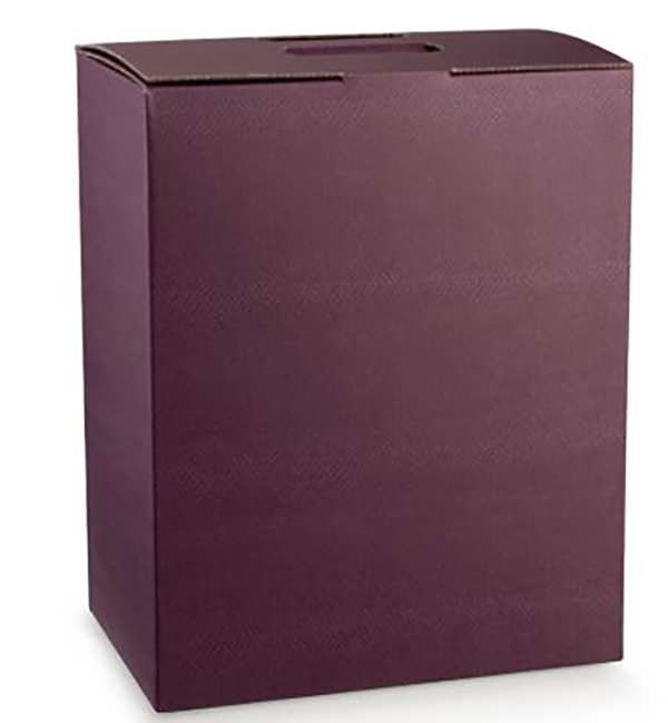 Caja estuche 6 bot. Con divison