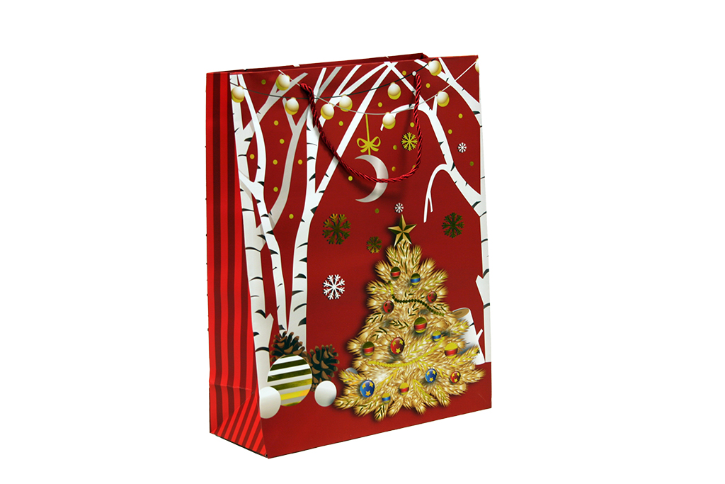 bolsa de regalo