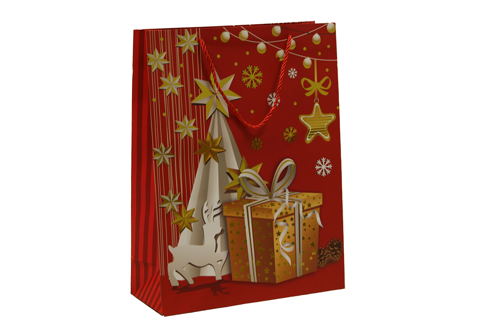 bolsa de regalo