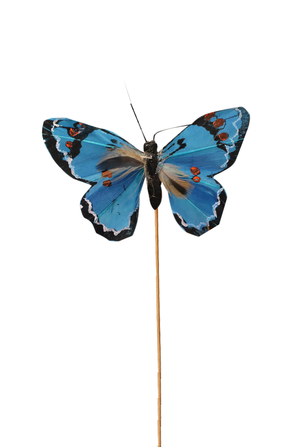 Pin mariposa azul paquete de 20