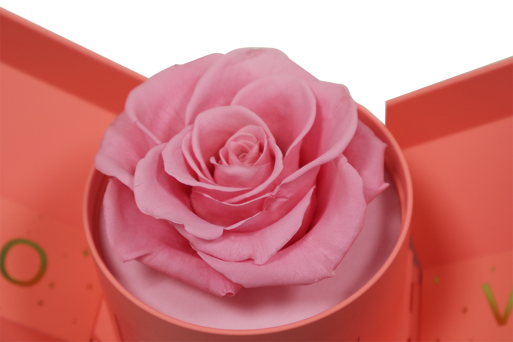 Schmuckkästchen mit ewiger Rose