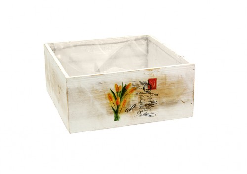 Tulpenplastikbox