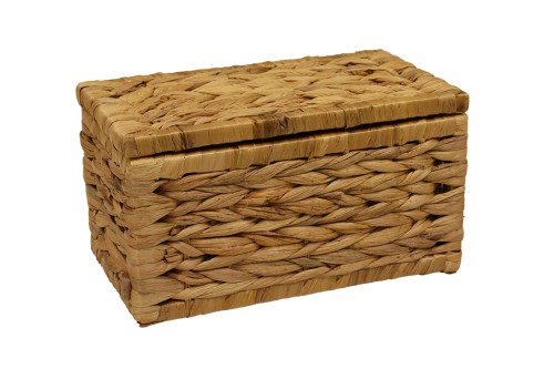 Boxed braided enea trunk 33x18x18