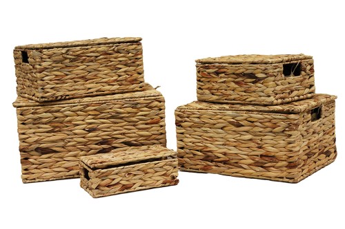 Caja secuoya s/5