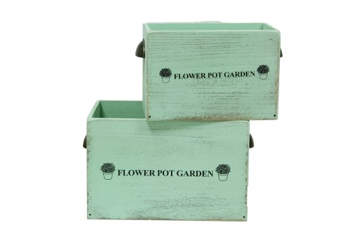 Box flowers for garden