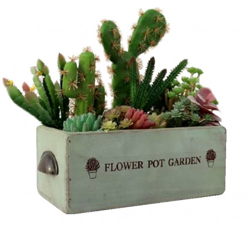 Box flowers for garden