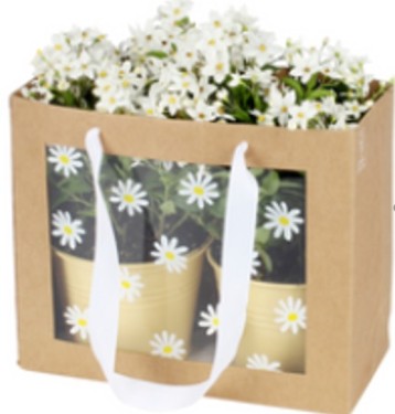 Bolsa kraft transparente flores