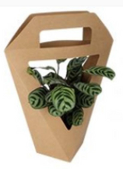 Caja kraft flores