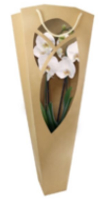 Caja kraft orquidea