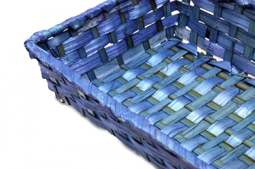 Blue natural tray