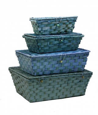 Blue bamboo plast suitcases