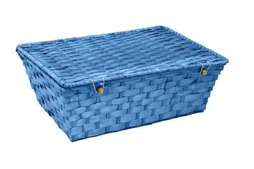 Valises en plastique de bambou bleu