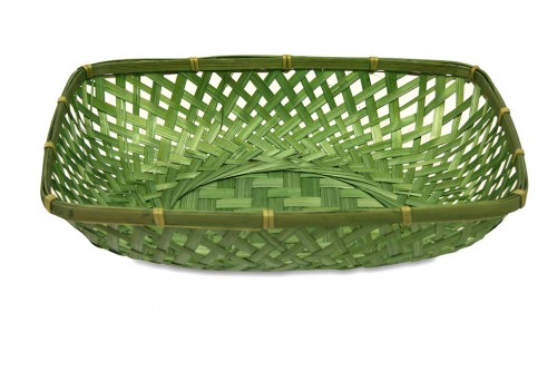 Light green rex tray