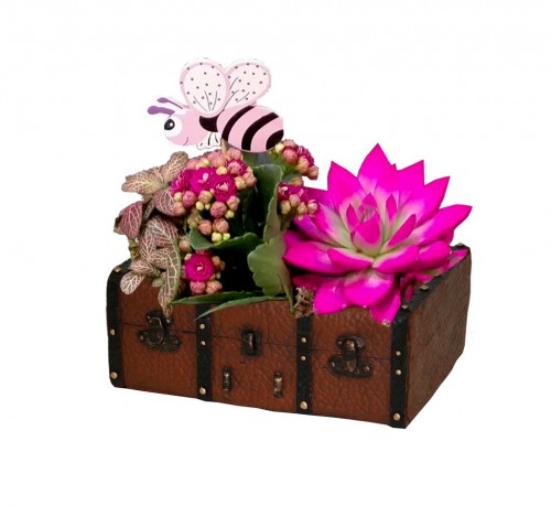 Brown ceramic chest planter