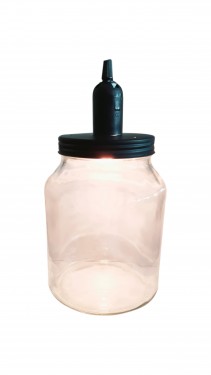 Glass bottle planter with bulb