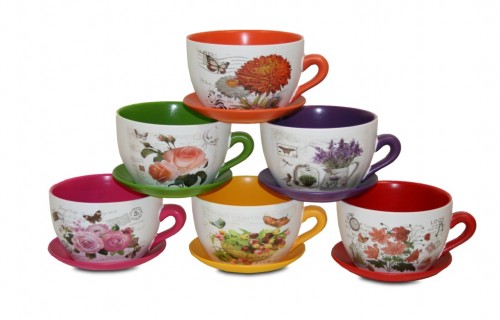 Ensemble de mini tasses assorties s / 12