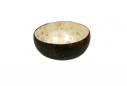 Natural coconut and mother-of-pearl bowl