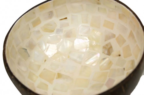 Natural coconut and mother-of-pearl bowl