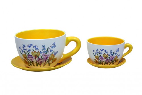 Planter cups tulip s/2