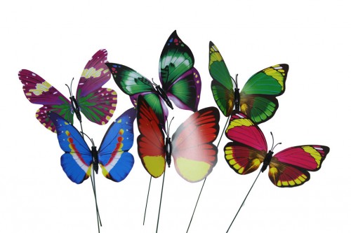 Pin butterflies varied flowers s/50