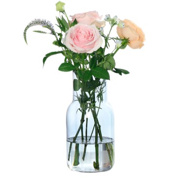 Jarron de cristal transparente liso