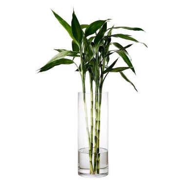 Jarron de cristal transparente cilindro grande 30cm