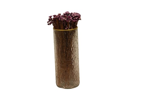 Clear Cylinder Glass Vase