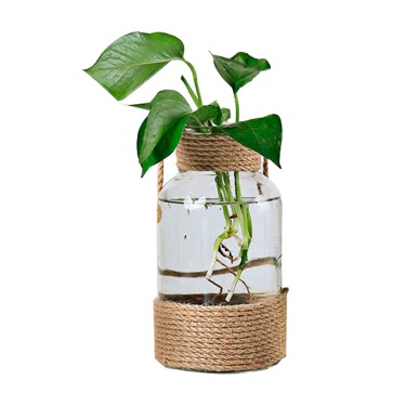 Clear Glass Vase with Braided Design and Handle