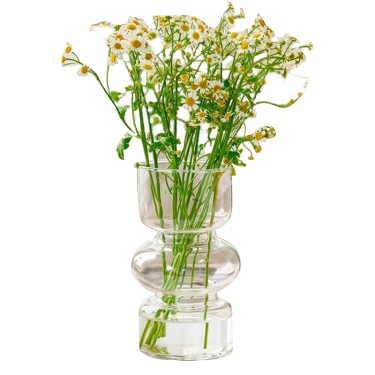 Clear Glass Vase with Three Shapes