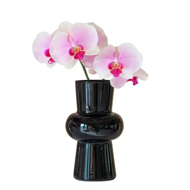 Vase en Verre Noir Trois Formes