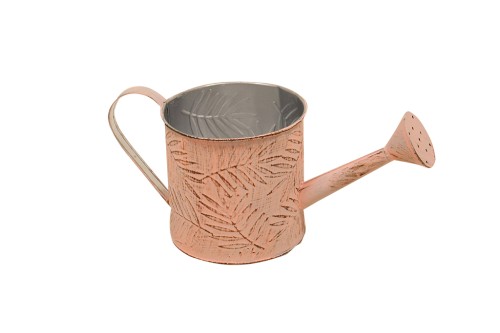 Regadera color crema