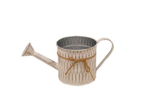 Regadera blanca con lazo