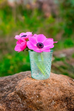 Jarrón para flores azul