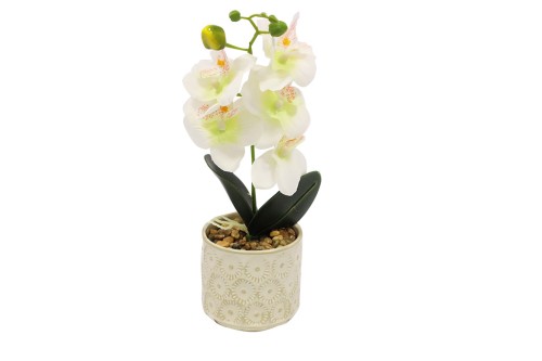 Macetero cerámica orquídea blanca
