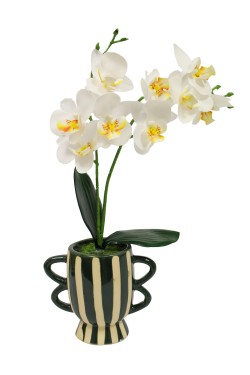 Macetero cerámica orquídea blanca curvada