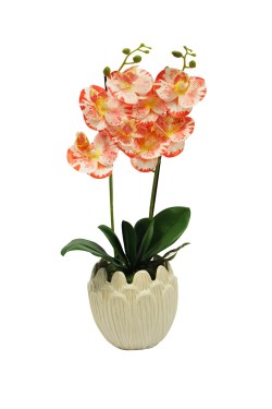 Macetero cerámica beige orquídea rosa